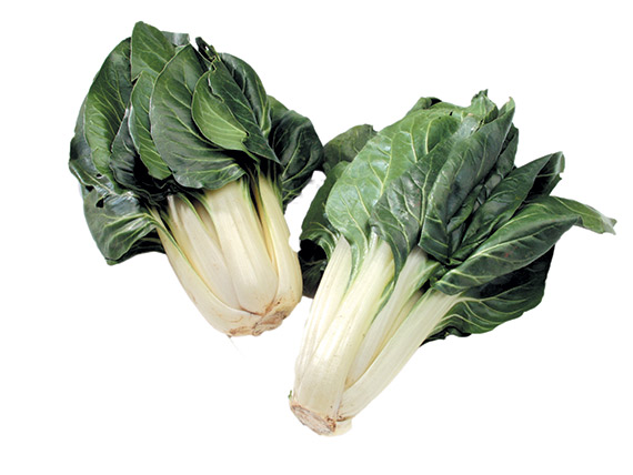 <span>BARESE</span>