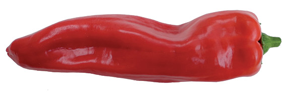 <span>ESTILO F1</span>