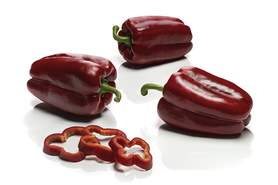 <span>MEDULAS F1</span>