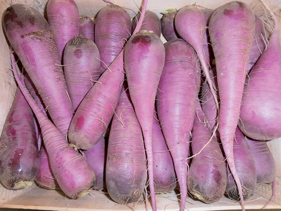 <span>BLAUER HERBST UND WINTER</span>