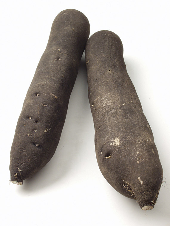 <span>NOIR LONG MARAICHER</span>