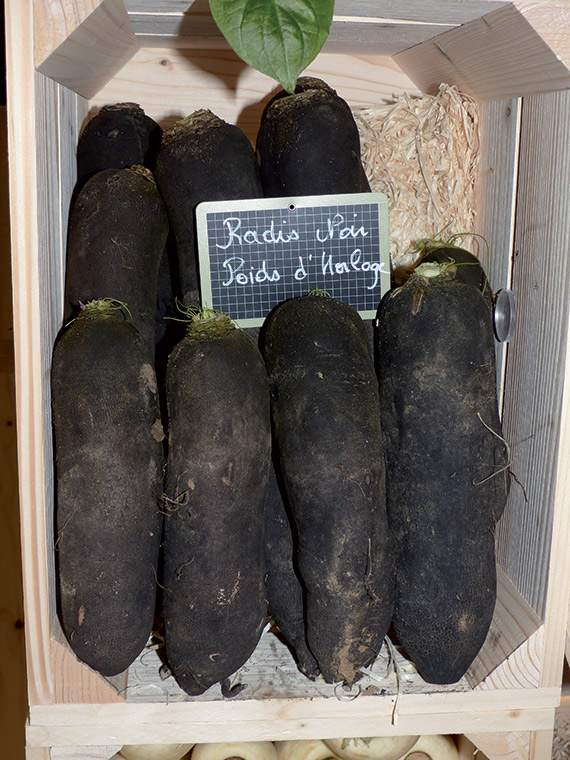 <span>NOIR LONG POIDS D'HORLOGE</span>