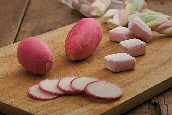 <span>DELIKING® (GV 54114) F1</span>