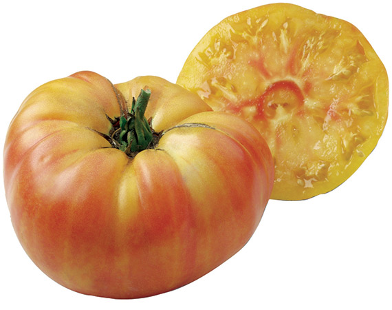 <span>ANANAS</span>