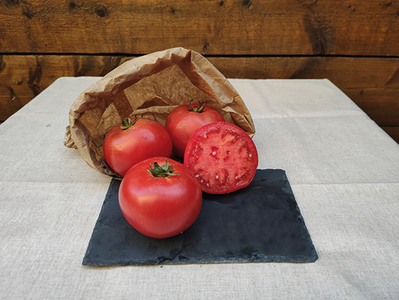 <span>GALADIANT F1</span>