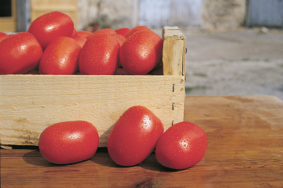 <span>GRANDIMAT F1</span>