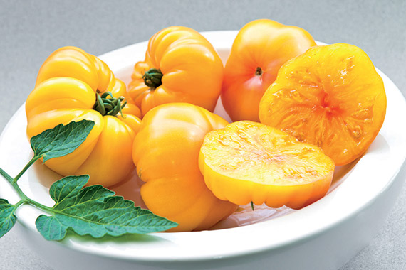 <span>MARGOLD F1</span>