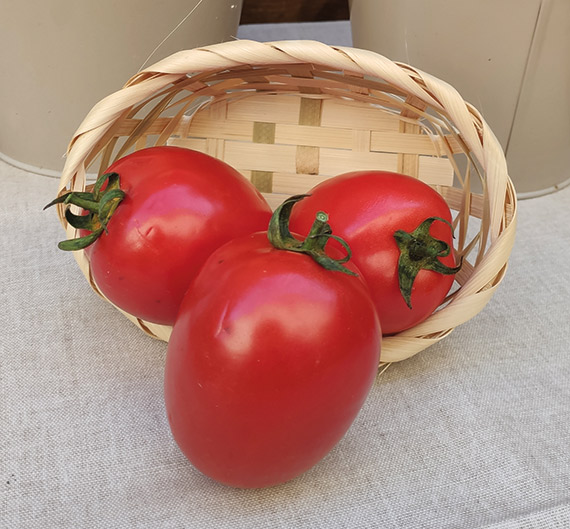 <span>PROSPERIANT F1</span>