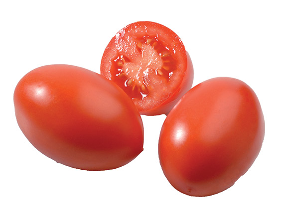 <span>ROMA VF</span>